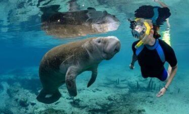 Snorkeling Day Tour in Hurghada